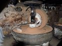 2018-09-17 10-27-55 Combas-Moulin LaTour_noix BMa